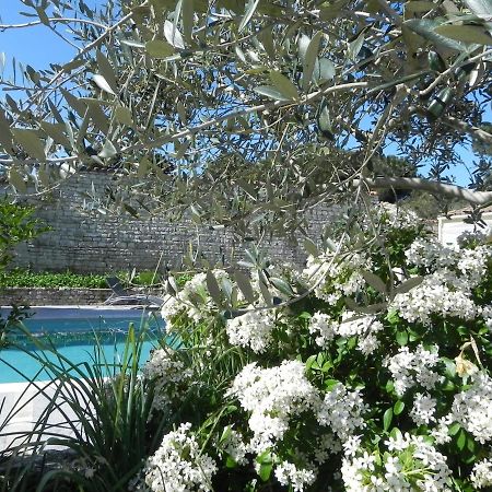 Villa Del Re 3 Face A La Piscine La Flotte Bagian luar foto