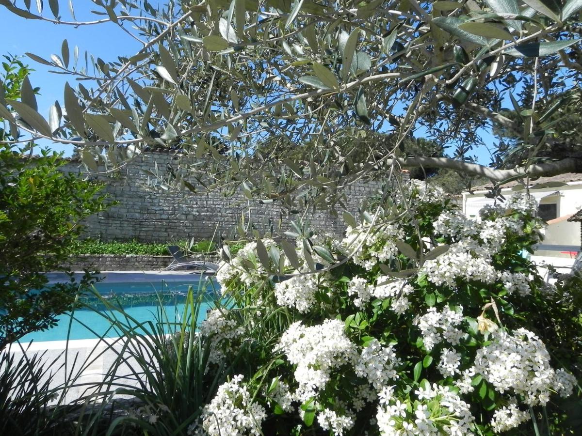 Villa Del Re 3 Face A La Piscine La Flotte Bagian luar foto